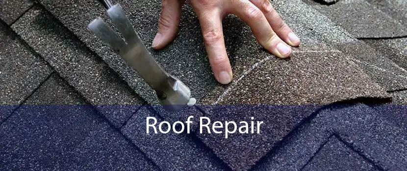 Roof Repair 