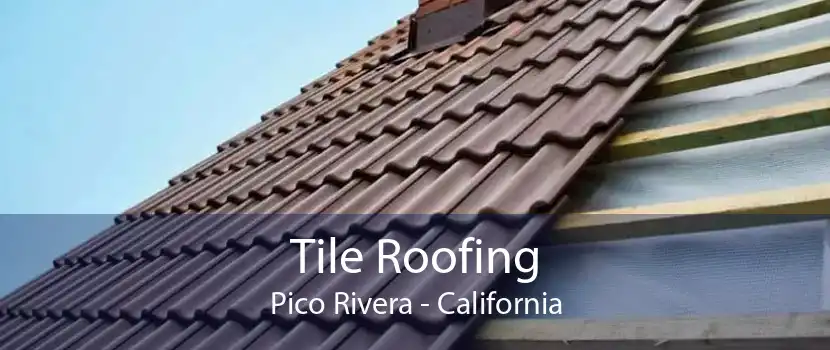 Tile Roofing Pico Rivera - California