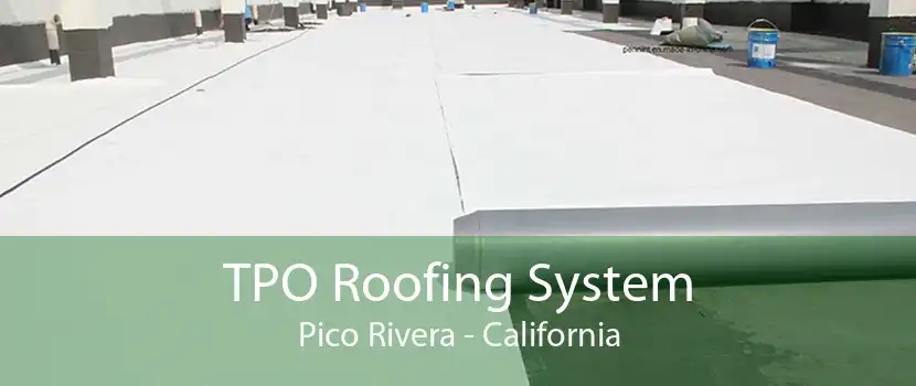 TPO Roofing System Pico Rivera - California