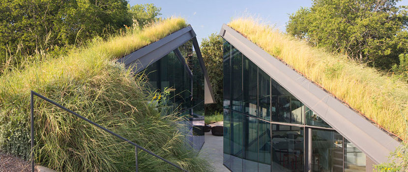 Residential Green Roof Pico Rivera